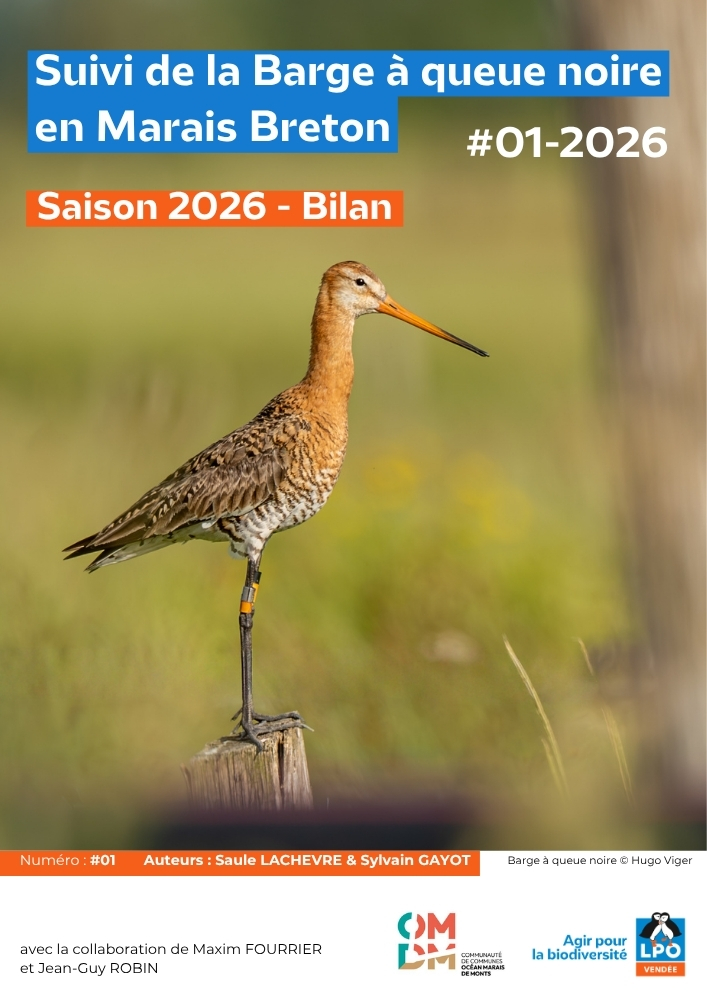 Les actus de la Barge en Marais breton - Juin 2026 - Source © LPO Vendée - OMDM